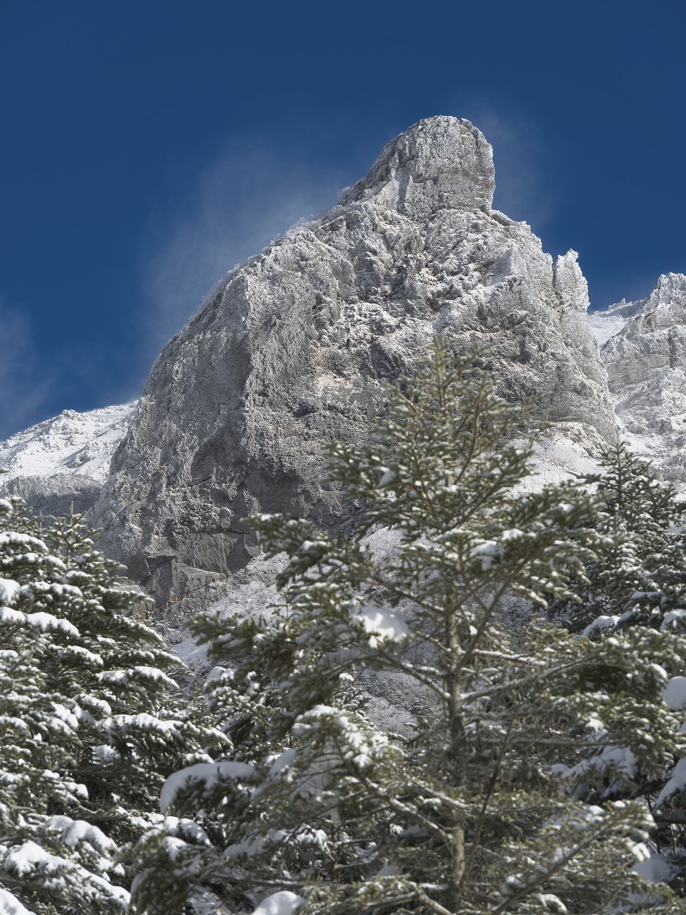山