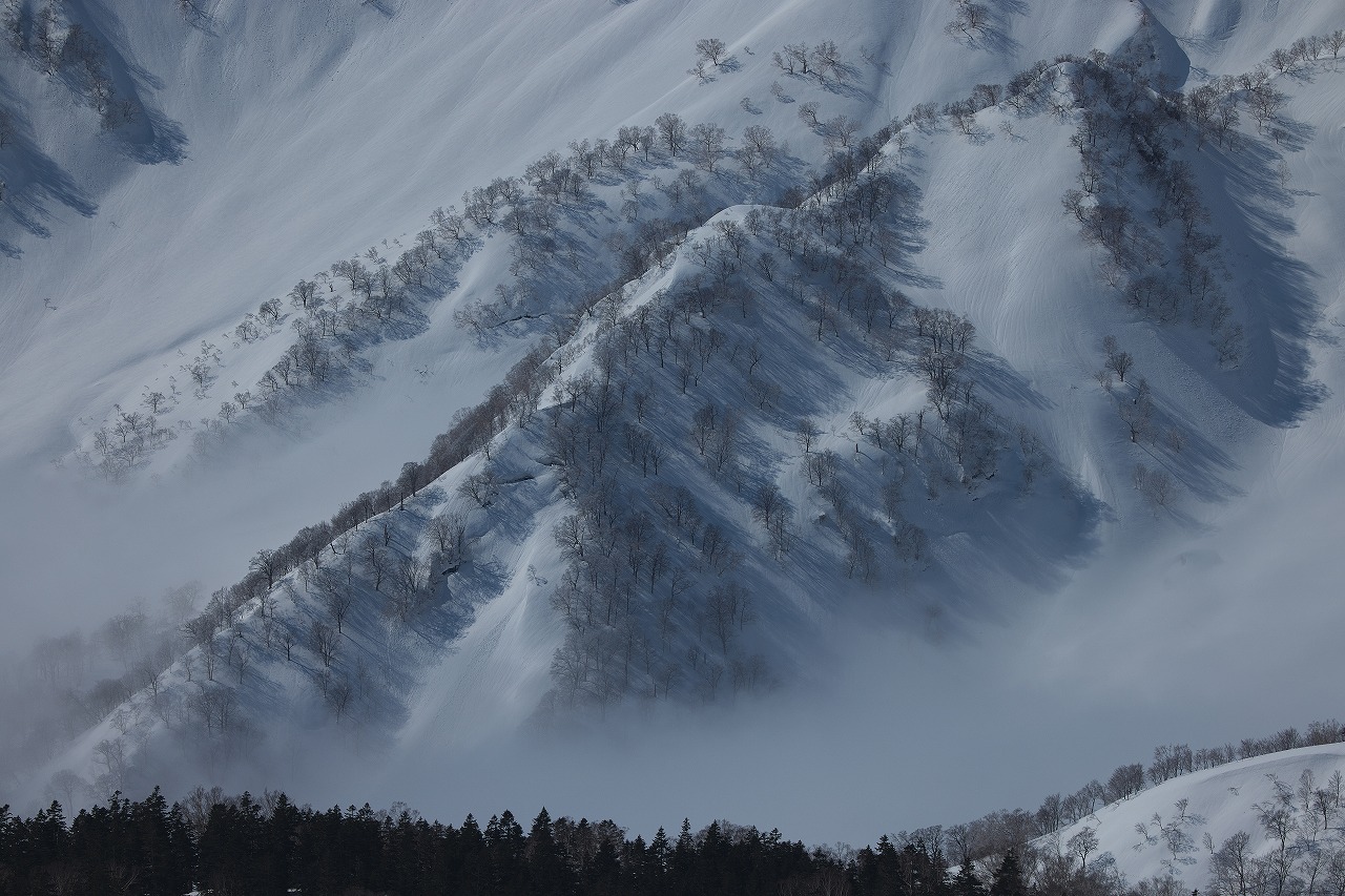 風景